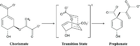 Scheme 1 Schematic representation of the conversion of chorismate to ...