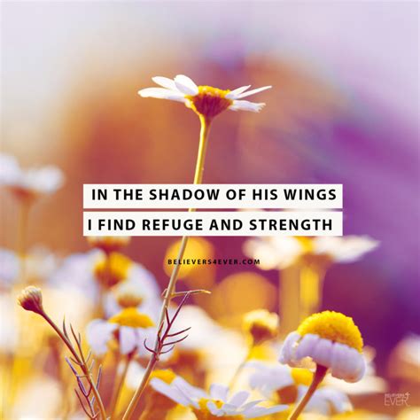 In the shadow of His wings - Believers4ever.com