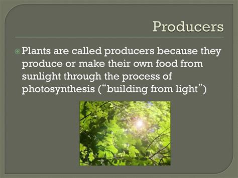 PHOTOSYNTHESIS Solar Energy to Chemical Energy - ppt download