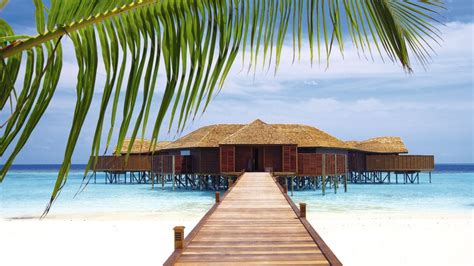 #Maldives Lily Beach Maldives, Maldives Water Villa, Visit Maldives, All Inclusive Beach Resorts ...