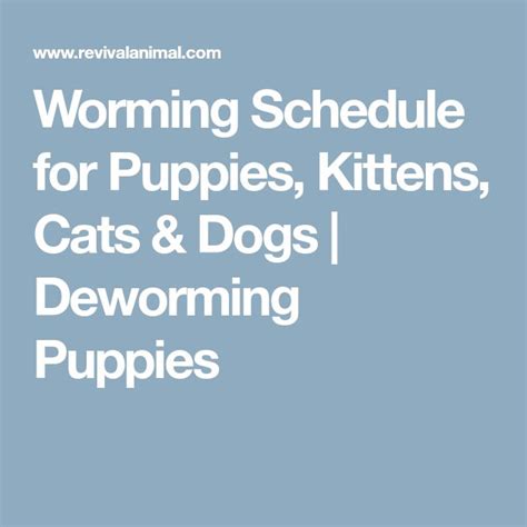 Worming Schedule for Puppies, Kittens, Cats & Dogs | Deworming Puppies ...