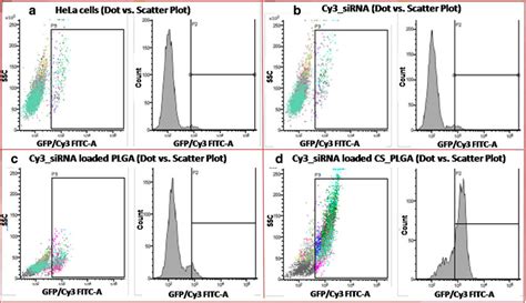 Cy3 labelled siRNA delivery using NPs into HeLa cells: a HeLa cells, b ...