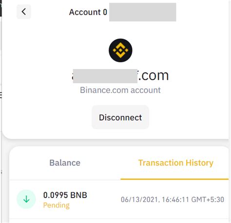 The Beginner's Guide to The Binance Smart Chain Wallet