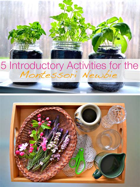 Make Like a Montessori Mama: Part 2 - Plant Activities - Modern Parents Messy Kids