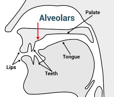 pronunciation - How to pronounce voiced 'th' sound? - English Language ...