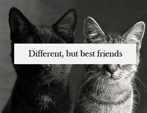 Friendship Quotes Black And White. QuotesGram