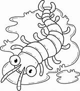 Centipede Coloring Page Coloringcrewcom Sketch sketch template