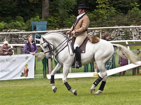 Olympic Equestrian Dressage Tickets: Classical Dressage