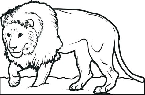 Lion Family Coloring Pages at GetColorings.com | Free printable colorings pages to print and color