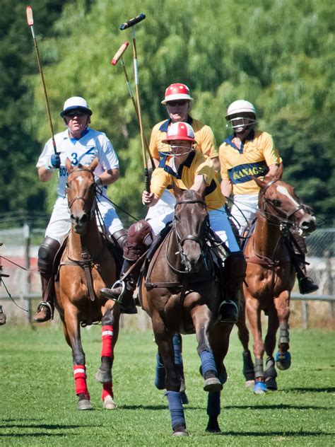 Okanagan Polo Club and horses Jessica Wales