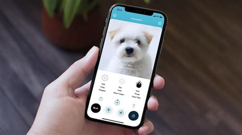 Open AI Pet has developed a chatbot for pets that uses artificial ...