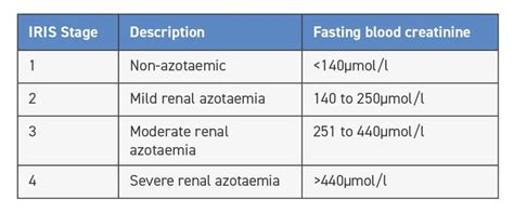 Diagnosis of early feline chronic kidney disease | Veterinary Practice