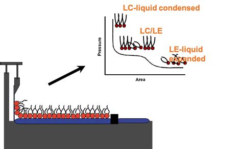 Langmuir-Blodgett Films | Dunn Research Group