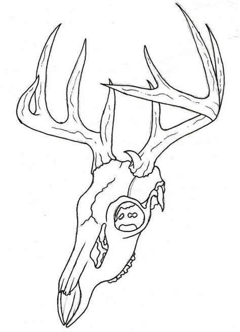 Deer Skull Coloring Pages | Deer skull drawing, Skulls drawing, Deer ...