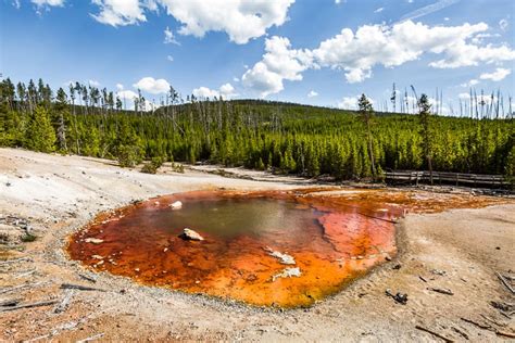 Norris Geyser Basin in Yellowstone | Get Inspired Everyday!