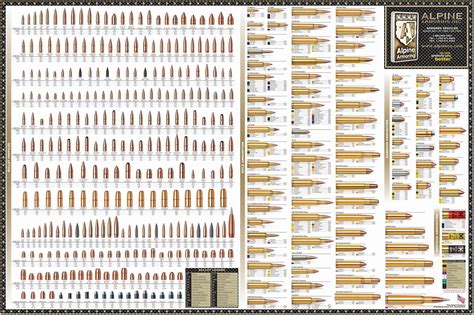 Ammunition Reference Poster | Ammunition, Reloading ammo, Guns bullet