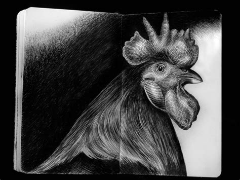 Detailed Ink Animal Drawings-17 – Fubiz Media