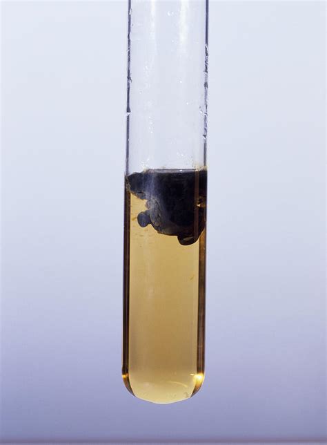 Iron (ii) Hydroxide Precipitate Photograph by Andrew Lambert ...