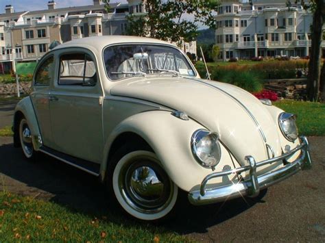 vw bugs | Classic 1963 VW Beetle BuG Sedan | Classic VW Beetles & BuGs ...