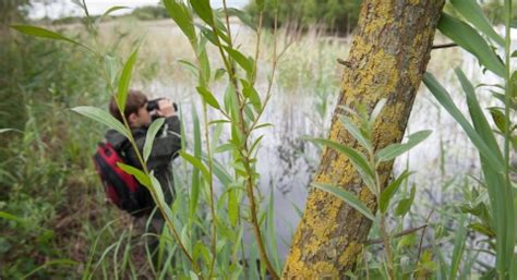 Nature Reserves | Somerset Wildlife Trust