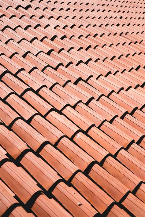 Roof Cleaning: Why, When, And How It Should Be Done