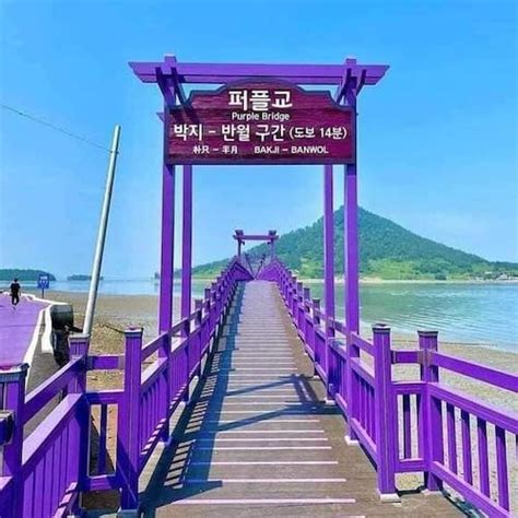 Purple Island - Korea's Insta-Worthy Banwol Island | KoreaTravelPost