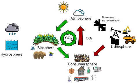 Biomass Cycle For Kids