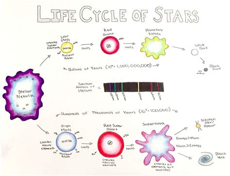 Life Cycle Of Stars Graphic Organizer | SexiezPicz Web Porn