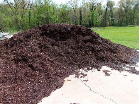 How to Get Free Mulch