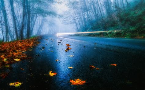 USA Straße, Herbst, regen, Nebel, Laub, Wald, Bäume, Licht 1920x1200 HD Hintergrundbilder, HD, Bild