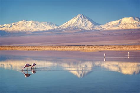 San Pedro de Atacama: Un lugar perfecto para recorrer y conocer en la región de Antofagasta - El ...