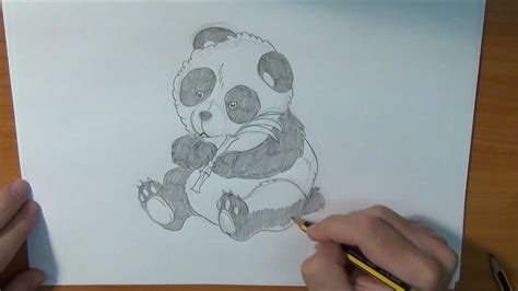 Aprende a dibujar un Oso Panda - YouTube