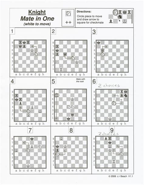 Matteson Library Chess Players: Answers for July 13th