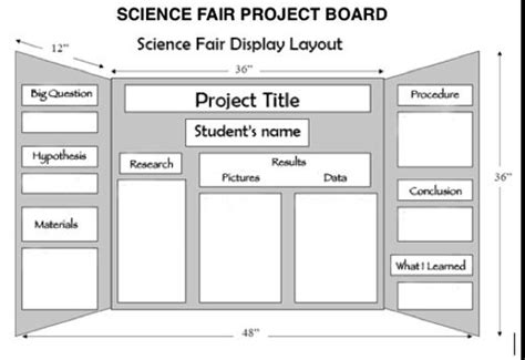 How to set up a science fair board Cardboard and Foamcore in stock at ...