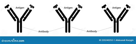 Different Types of Antigens and Different Types of Antibodies. Human Immunity. Fighting Viruses ...