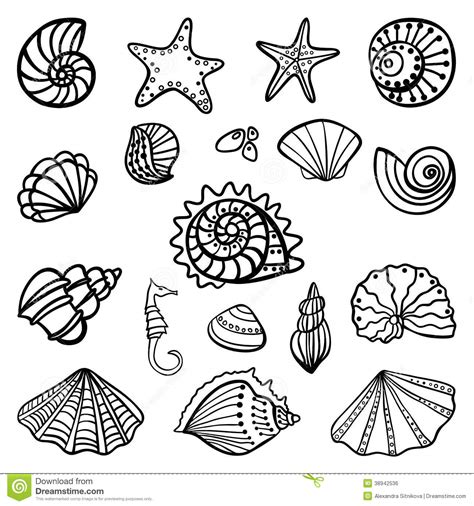 Beach shells coloring pages download and print for free