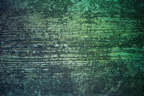 Download Green Wood Surface Grunge Texture Wallpaper | Wallpapers.com