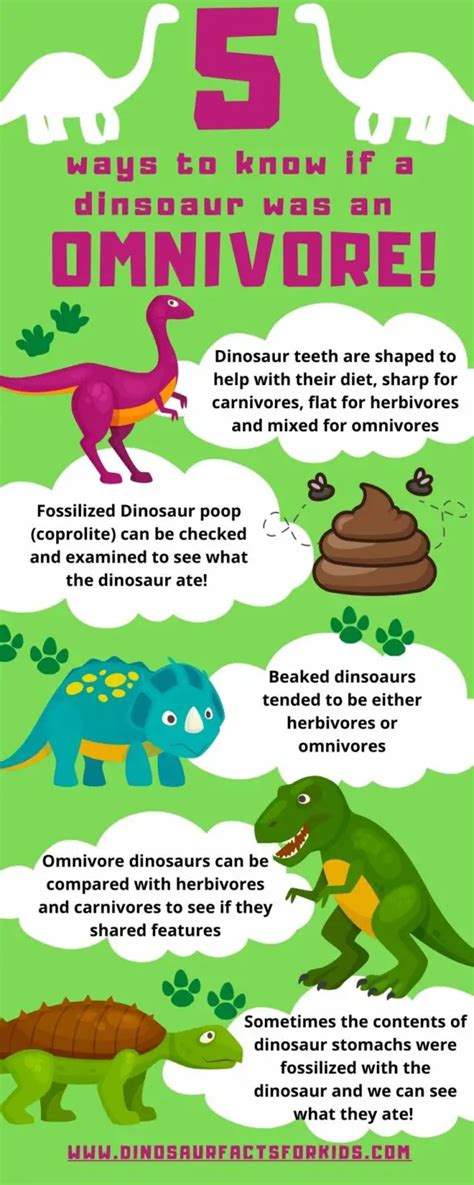 What Did Omnivorous Dinosaurs Eat? - Dinosaur Facts For Kids