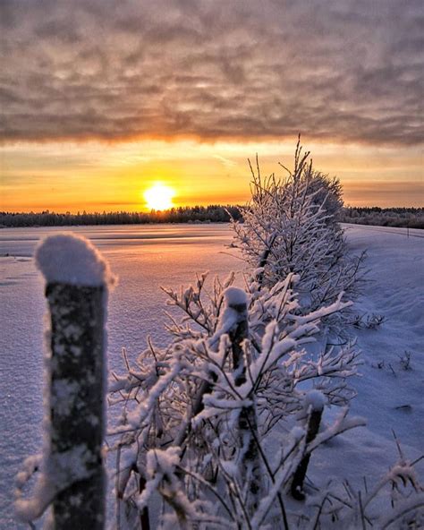 🇫🇮 Winter sunrise (Finland) by Petteri Karttunen (@petekarttunen) on Instagram ️🌅 | Winter ...