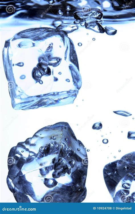 Ice cubes in water stock photo. Image of pack, cubes - 10924708