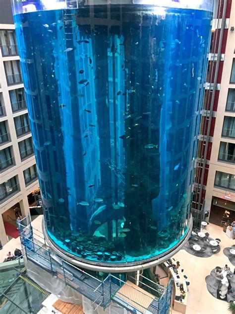 Ursache für geplatztes Aquarium in Berliner Hotel weiterhin unklar - Weltchronik - derStandard ...