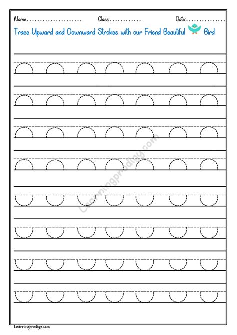 Tracing Curved Lines Worksheets Printable - Printable Word Searches