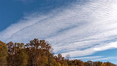 Learn About Cirrocumulus Clouds: High-altitude Cloudlets | Clouds, Cirrostratus clouds, Cloud type