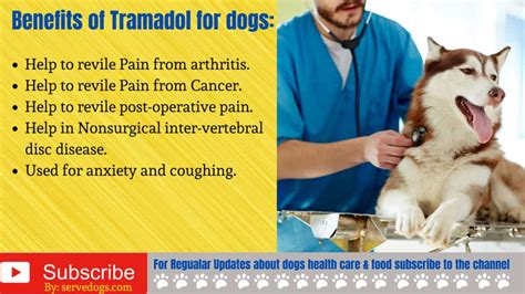 How much Tramadol for dogs? Dosage Chart by weight