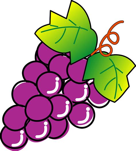 Cluster Of Grapes Clipart