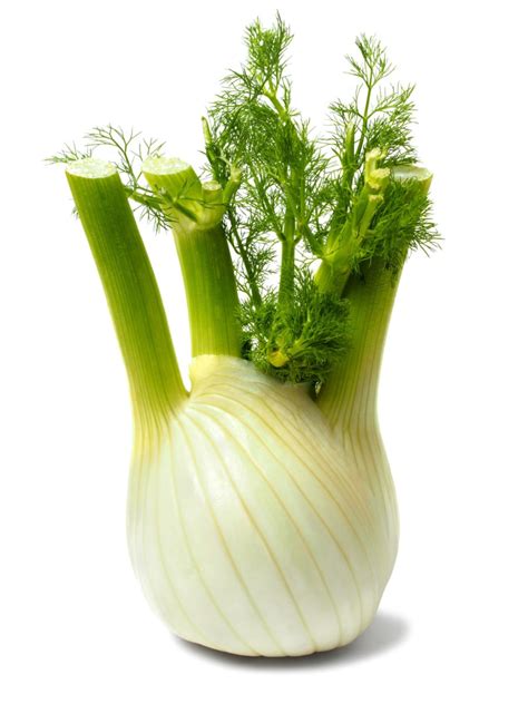 Fennel Bulb - Healthier Steps