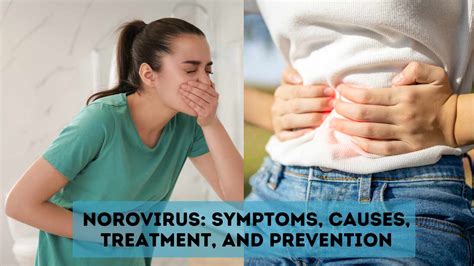 Norovirus: Symptoms, Causes, Treatment, and Prevention | Sprint Medical