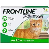 Frontline Gold for Cats vs Plus: Review & Full Comparison