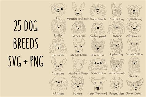 Dog Breed Svg Bundle Graphic by svgxoxo · Creative Fabrica