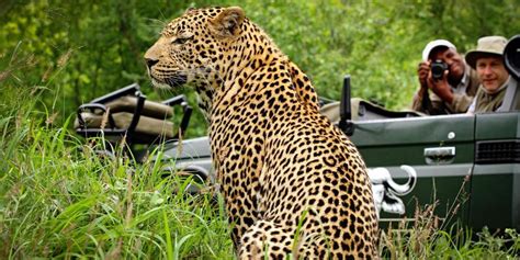 Inyati Game Lodge - Sabi Sand | Safari Guide Africa